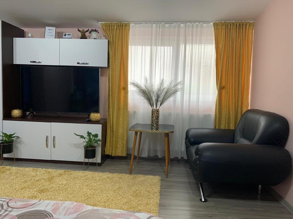 شقة Garsoniera Madalina سيبيو المظهر الخارجي الصورة