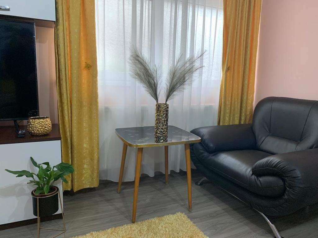 شقة Garsoniera Madalina سيبيو المظهر الخارجي الصورة